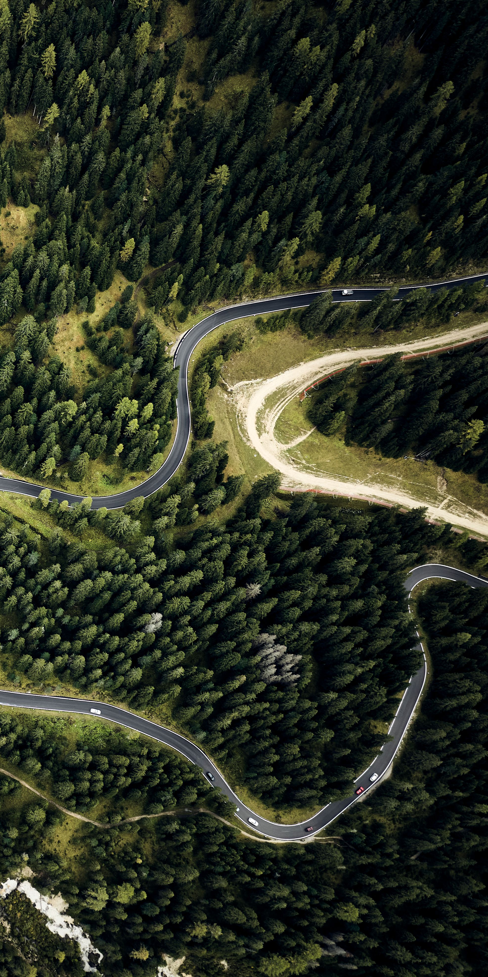 slingrande vägar genom en skog ur fågelperspektiv